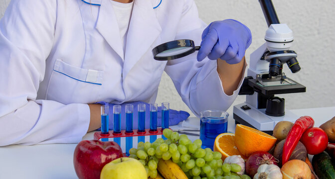 Female scientist examining fresh fruits and vegetables with a magnifying glass in a lab