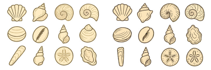 Collection of seashells displayed in various shapes and sizes on a light background