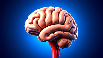 A Detailed 3D Rendering of the Human Brain, Showcasing its Intricate Anatomical Structures and Neural Pathways in a Vivid, Realistic Display against a Dark Blue Background