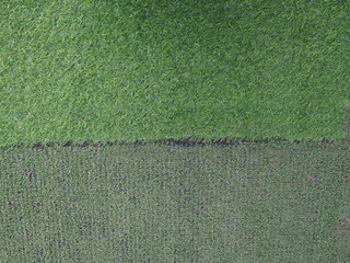 Comparison of old artificial grass with dark green and dull green (below) and new synthetic grass with bright and beautiful dense. Artificial Turf is synthetic fiber material - look similar to real 

