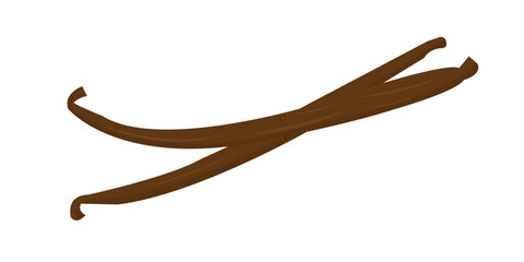 vector illustration vanilla, vanilla plant