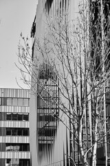 współczesna architektura- widok budynku, fasada