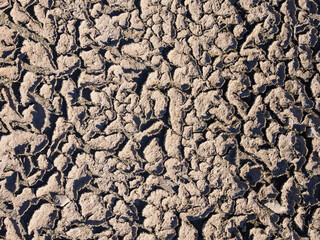 Dried earth displays cracked patterns under bright sunlight in a barren landscape during summer