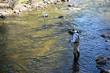 Fly Fisherman