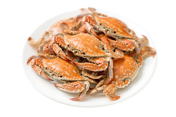 Cooked crabs on a white plate ready to be served