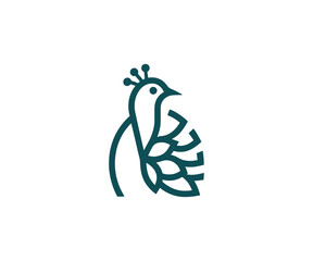 Elegant peacock illustration with simple outline