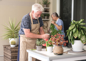 Happy senior couple gardening together at home, nurturing indoor plants and enjoying retirement with nature — active elderly lifestyle, teamwork and hobby gardening
