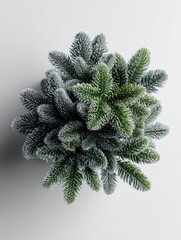 Close up view of flocked evergreen branches arranged in a circular pattern against a light background