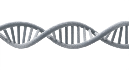 A gray dna strand on a black background close up on transparent background