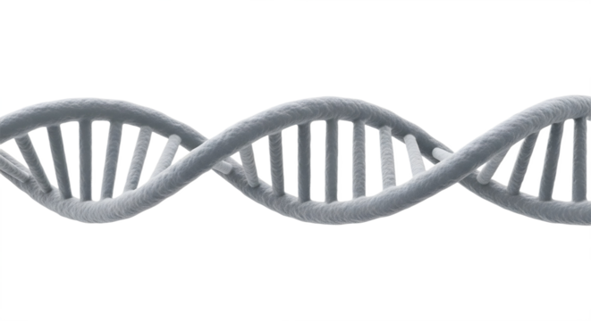 A gray dna strand on a black background close up on transparent background