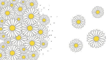 Daisy Delight: A Whimsical Arrangement of Floral Beauty with Sunshine Yellow Centers on White