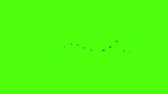 Birds fly over the green curtain