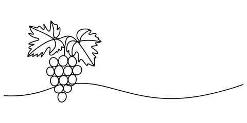 Elegant continuous line drawing of grapes with leaves and a wavy base vector