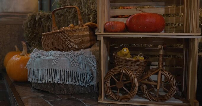 Pumpkin decorations for Halloween at night, audio included