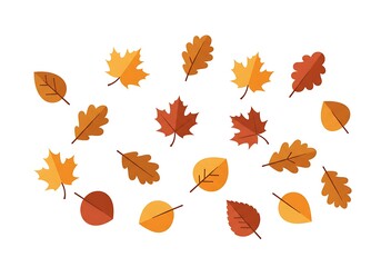 Flat design autumn leaves vector set. Fall foliage collection in warm colors for seasonal and nature themes.