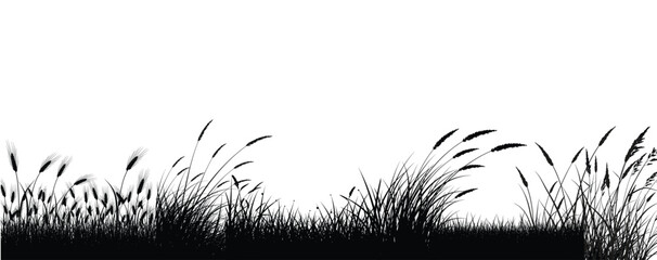 Black silhouette of tall wild grass and reeds against a bright white sky