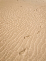 footprints in the sand