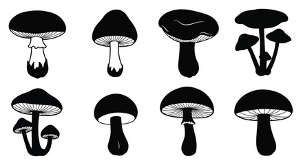 Black and white illustration of various mushroom shapes and sizes