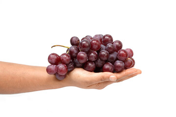Grapes in hand on white background. Fruit Photography.