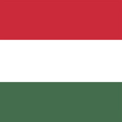 Hungarian flag with horizontal red white and green stripes Hungary national