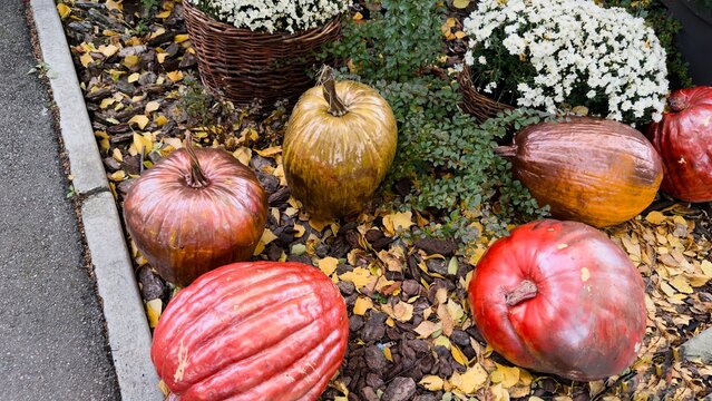 An autumn garden arrangement with pumpkins and chrysanthemums near the house  festive decor, a cozy atmosphere, and inspiration for seasonal design.
