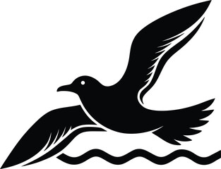 dove on white background