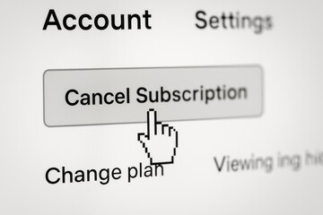 User Interface with Cancel Subscription Button and Account Settings for Digital Services Management