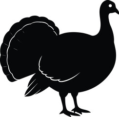 black and white cartoon turkey