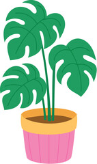 Tropical Monstera Plant on Yellow and Pink Pot, Exotic Monster Tree and Leaf Glowing in Cute Pot for Decoration illustration