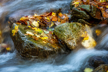 Jesienny strumień © Izabela&Grzegorz