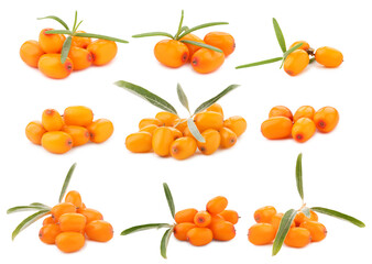 Sea buckthorn berries and green leaves isolated on white, set