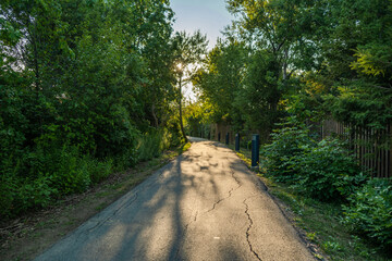 Park Path With Trees At Sunset