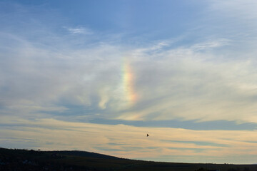 Sun dog: a rainbow-colored patch of light in the sky