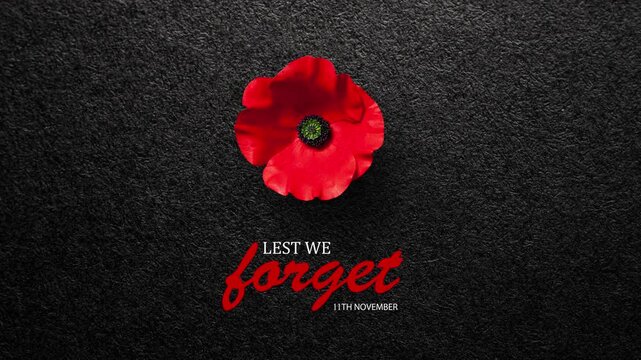 Lest We Forget 11th November inscription with Poppy flower on black textured background. Decorative flower for Remembrance Day. Memorial Day. Veterans day.