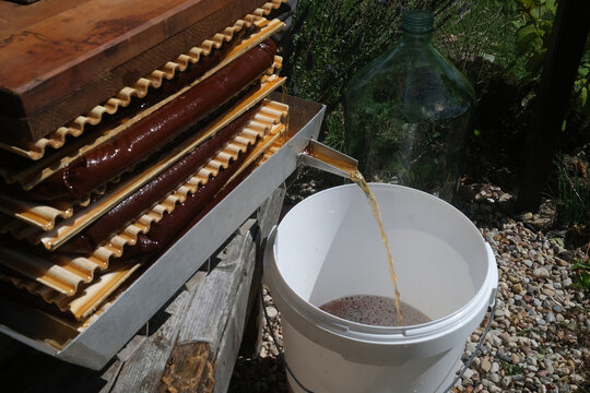 making cider