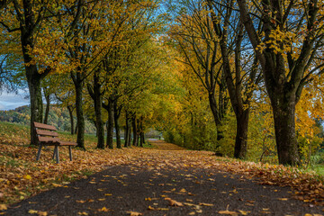 Sch&ouml;ner herbstlicher Weg mit B&auml;umen und einer Bank in einer ruhigen Landschaft
