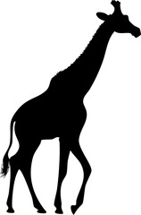 Giraffe silhouette walking slowly elegant minimal vector design isolated on white background, Elegant giraffe silhouette minimal vector illustration, Walking giraffe outline wildlife flat design