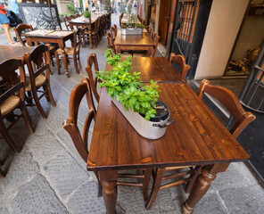 wooden table with basil outside a restaurant in sestri levante in italy