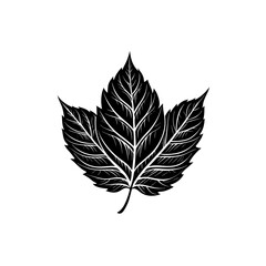 Classic maple leaf silhouette perfect for design projects