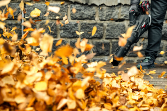 Worker holding leaf blower and clearing yellow leaves in motion, autumn maintenance and outdoor cleaning concept