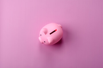 A piggy bank as a concept for storing, accumulating, and saving financial resources. A piggy bank