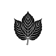 Minimalist botanical leaf outline nature vector artwork