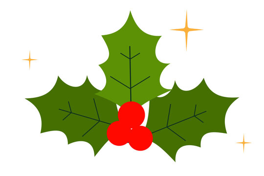 Christmas holly leaves with red berries and gold sparkle stars. Traditional holiday decoration with green foliage and bright red berries for festive winter celebration designs. High resolution PNG