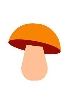 Simple mushroom illustration with yellow cap, burgundy underside, slippery jack. Colorful flat design fungus for autumn, nature, forest, cooking, foraging, and botanical designs. High resolution PNG