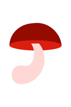Simple mushroom illustration with burgundy cap, red underside, and pale pink stem. Colorful flat design fungus for autumn, nature, forest, cooking, foraging, and botanical designs. High-res PNG	