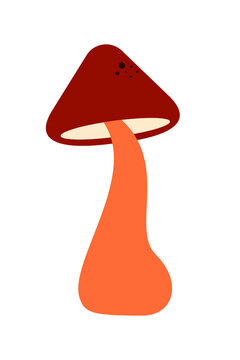 Colorful orange and brown mushroom illustration in flat vector style. Perfect for nature, forest, fungi, woodland, botanical, autumn, and whimsical design projects. High-resolution transparent PNG 