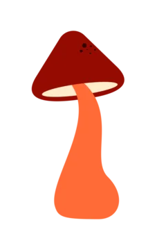 Colorful orange and brown mushroom illustration in flat vector style. Perfect for nature, forest, fungi, woodland, botanical, autumn, and whimsical design projects. High-resolution transparent PNG