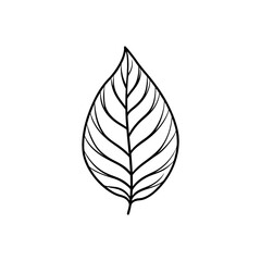 Leaf silhouette PNG