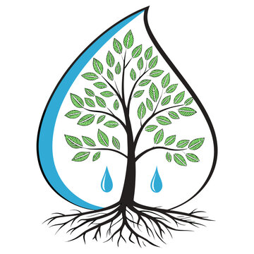 Water drop with tree and roots inside concept