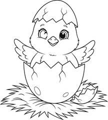 Adorable Chick Hatching from an Egg on a Nest - Cute Baby Bird Emerges in Spring Time